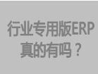 行業專用版erp軟件系統